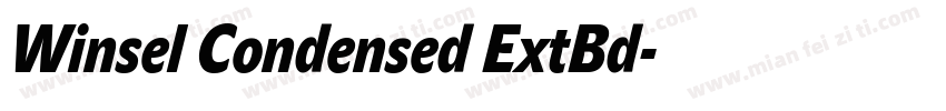 Winsel Condensed ExtBd字体转换